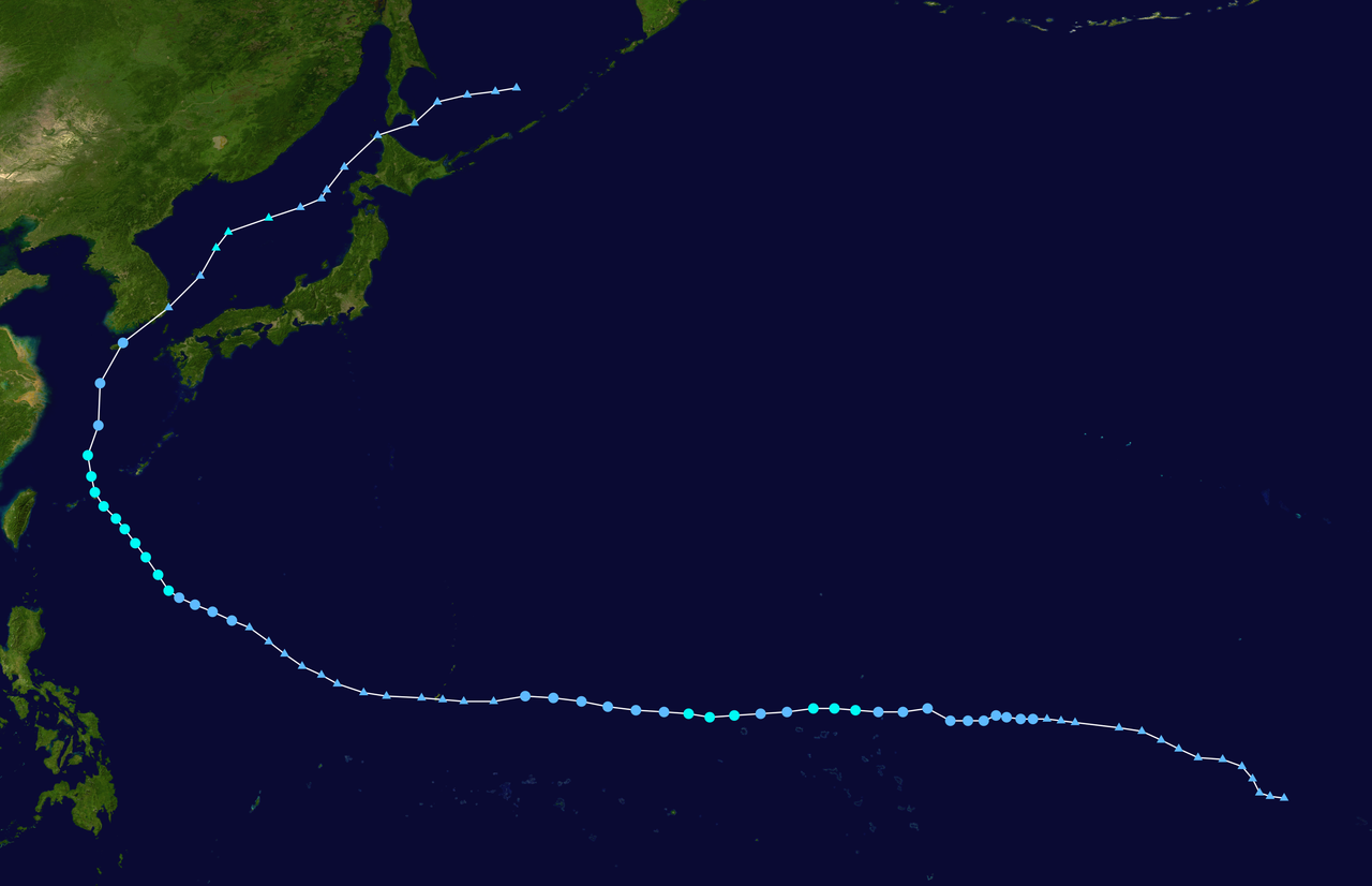 épeler Raison secteur typhoon tip path velours Brise Raffinerie